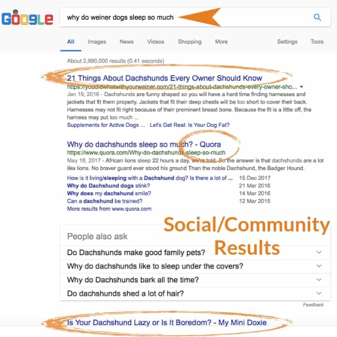 local seo search intent question