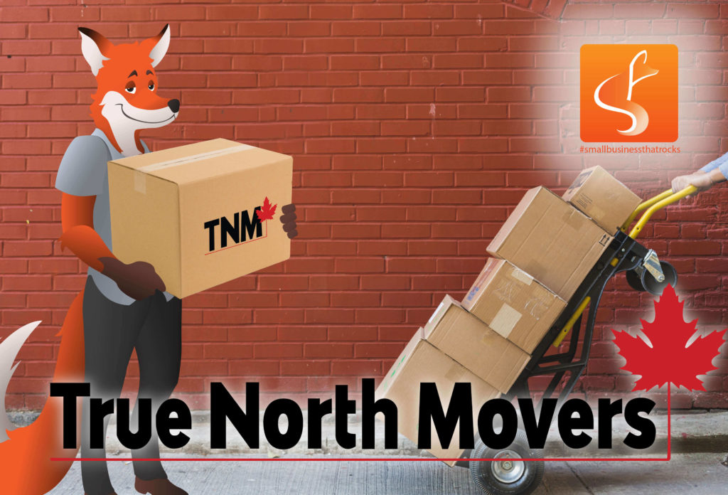 true north movers with slyfox mascot holding boxes with True North Movers logo on the bottom and the Sly Fox In the top right. - SlyFox Web Design and Marketing