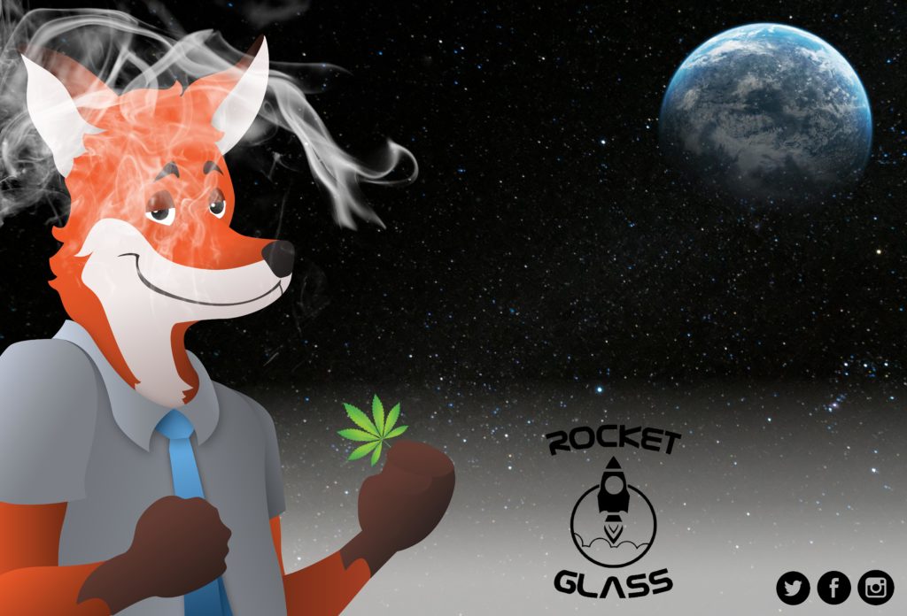 rocket glass - SlyFox Web Design and Marketing