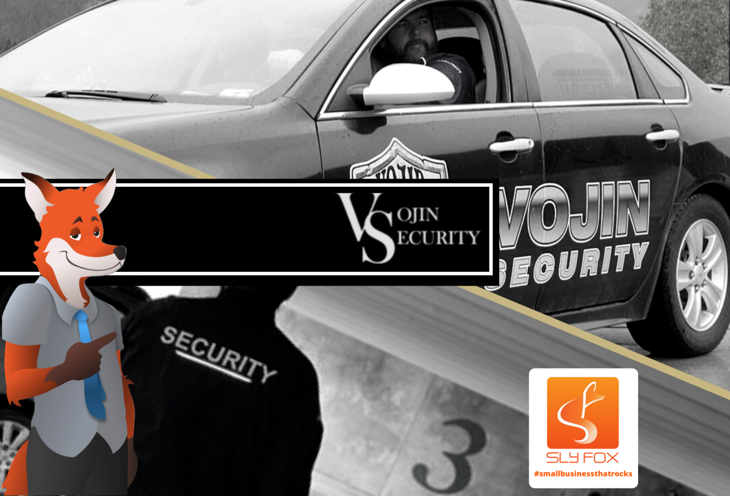 Vojin Security