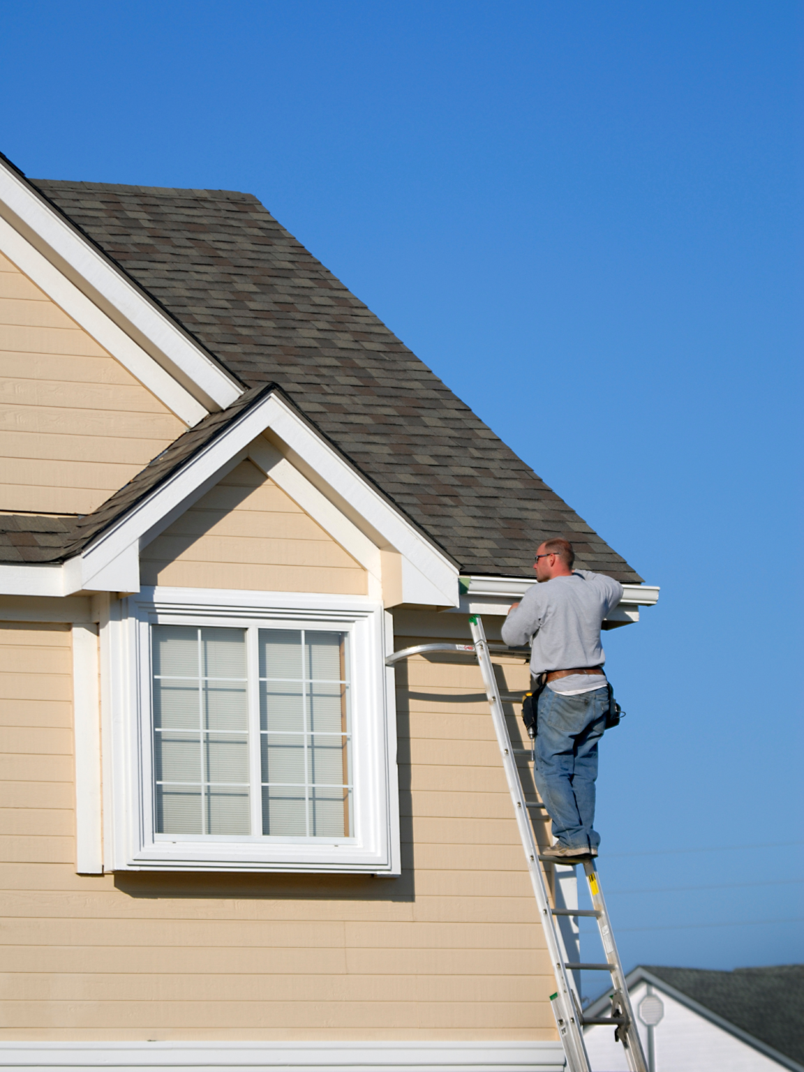 SmallBusinessThatRock McCallum Aluminum Ltd SlyFox  Design