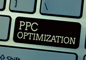 Sly Fox -PPC Optimization