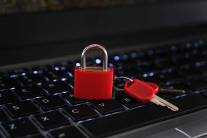 security for fast website hosting