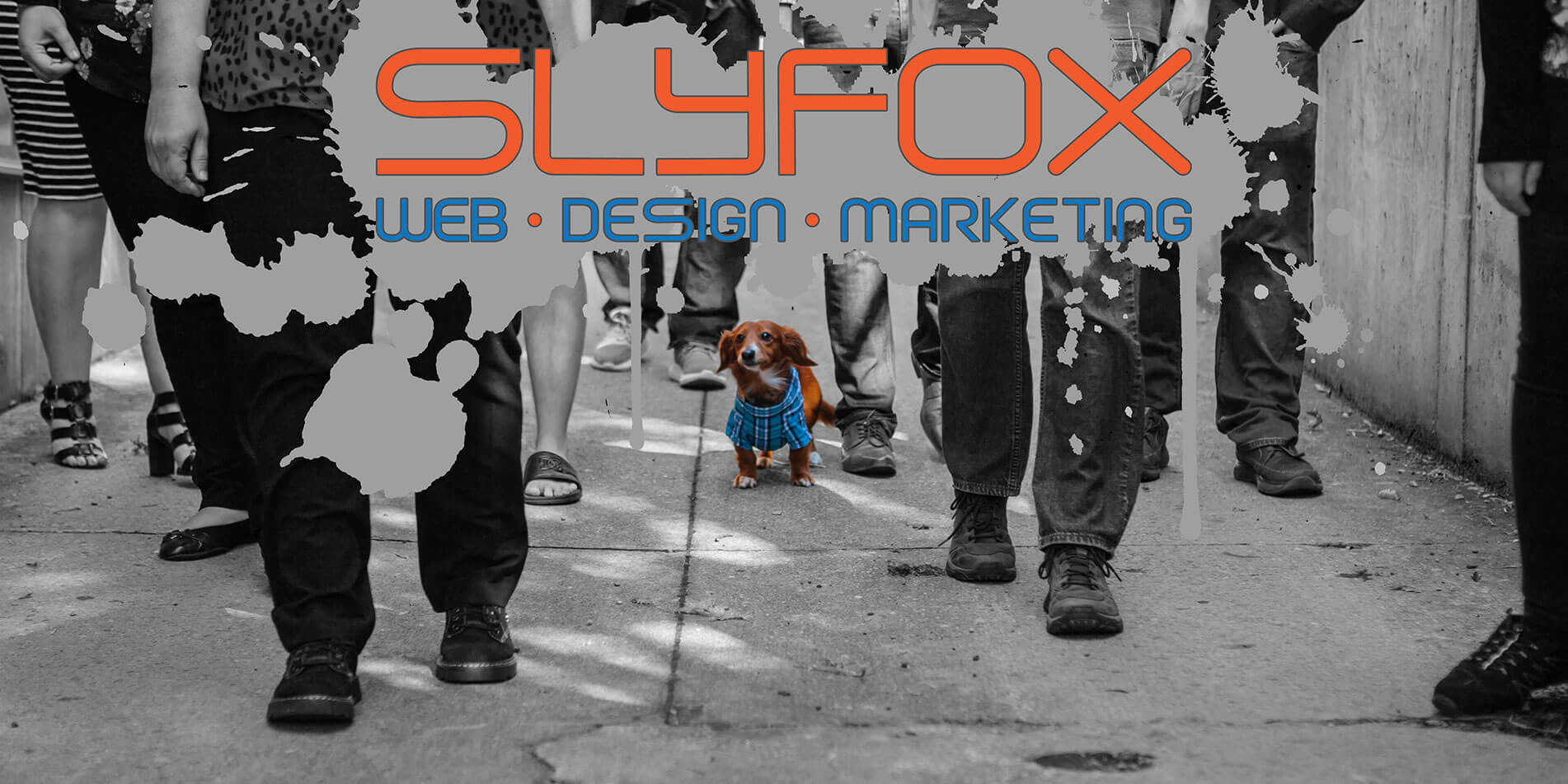 digital marketing, design team, web design team - SlyFox Web Design and Marketing